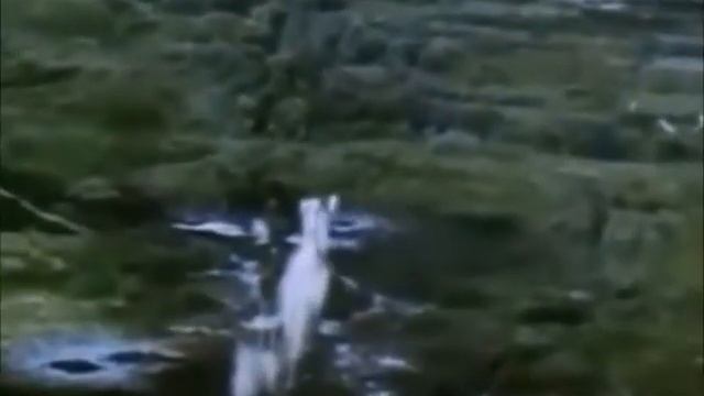 For democracy, obviously...(Def Leppard "Gods of War") смотреть онлайн