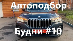 Будни автоподборщика #10