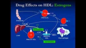 Hypercholesterolemia I