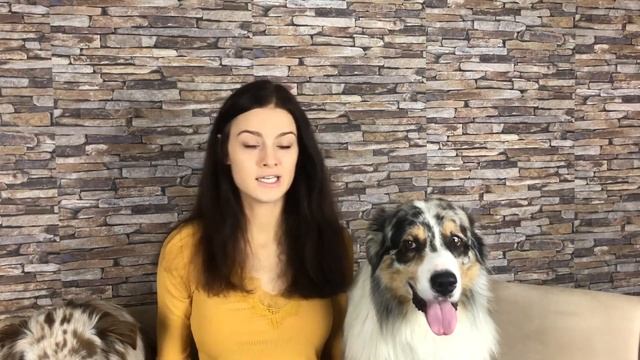 JAK NAUČIT PSA 3 BOŽÍ PSÍ TRIKY! Tutoriál смотреть онлайн