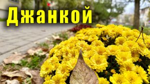 В Крыму похолодало. Осенний Джанкой и джанкойские чебуреки. Ой, а что это там плавает?