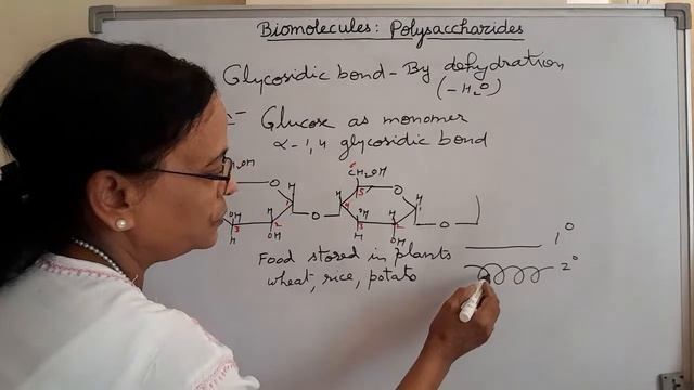 @Biomolecules:Polysaccharides
