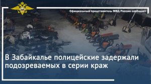 В Забайкалье полицейские задержали подозреваемых в серии краж