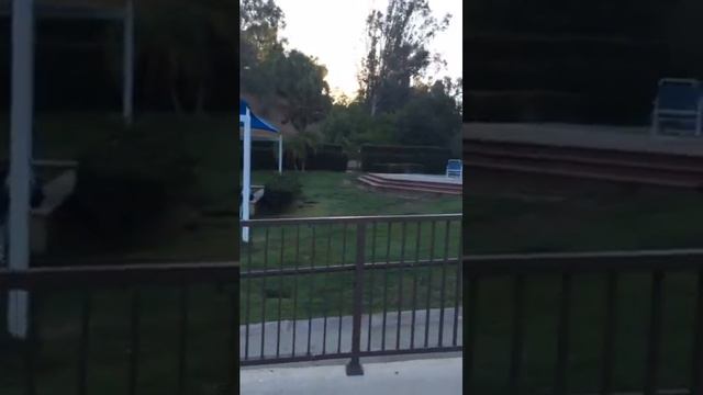 Тренировочный лагерь по плаванию в Калифорнии