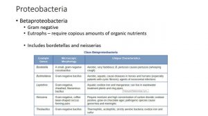 Chapter 4 Openstax Microbiology