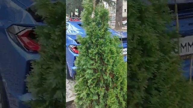 24 марта 2024 г. смотреть онлайн