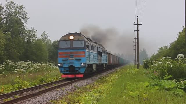 2ТЭ116У-0078 (РЖД/Окт, ТЧ-18 Дно) с грузовым поездом