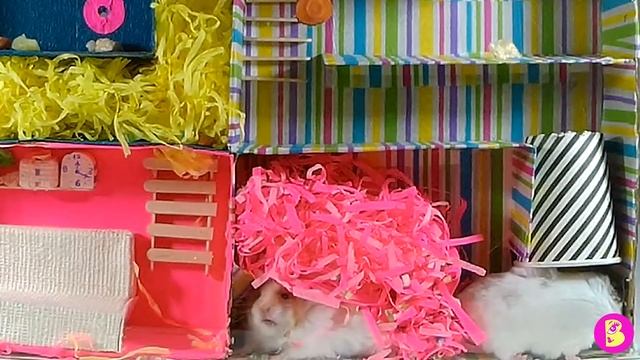 ХОМЯЧКИ В ЛАБИРИНТЕ hamsters in the maze смотреть онлайн