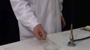 Определение содержания хлора в органических соединениях