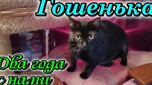 Гошенька. Два года с нами.