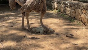 17683688-uhd_3840_2160_30fps