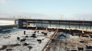 Строительство _Профистрой_