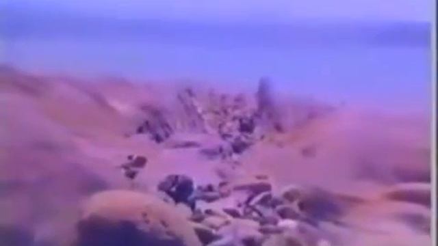 Səhnəmizin İmperatritsası FLora Kərimova “İtirdim“ Musiqisi İbrahim bəy Topçubaşovundur смотреть онлайн