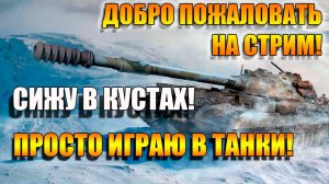 Сижу в кустах и охочусь в Мир танков