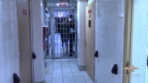 Ирина Волк: В Подольске сотрудники полиции задержали участников организованной группы