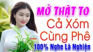 Mở To Xóm Chạy Sang Hỏi Nhạc Gì Mà hay Thế - Lk Bolero Hay Tê Tái Làm Sao Xuyến Triệu Con Tim