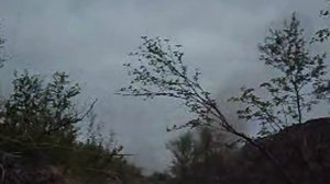 2,5 кг мелинита