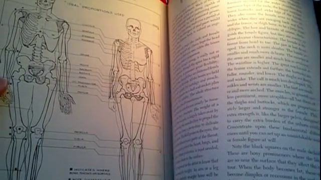 Figure Drawing Anatomy Book Reviews ☕ Bridgman Vanderpoel Loomis Buscema смотреть онлайн