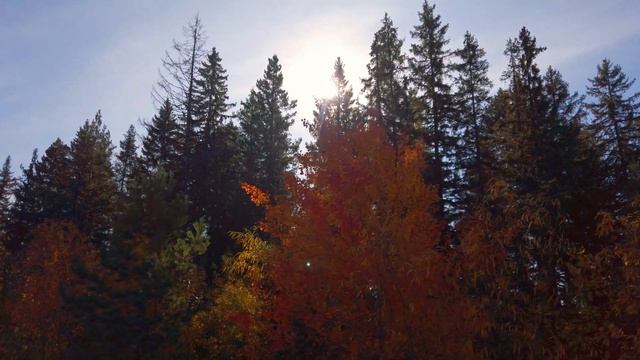 УРАЛЬСКАЯ ОСЕНЬ / СЪЁМКА С КВАДРАКОПТЕРА / смотреть онлайн