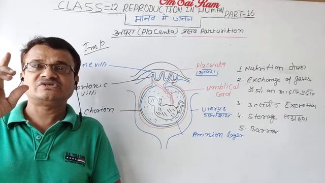 Chapter-3 Class-12 Biology Part-16 Reproduction in human, placenta and Parturition(अपरा तथा प्रसव)