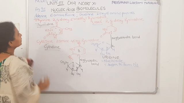 BIOMOLECULES lecture #5