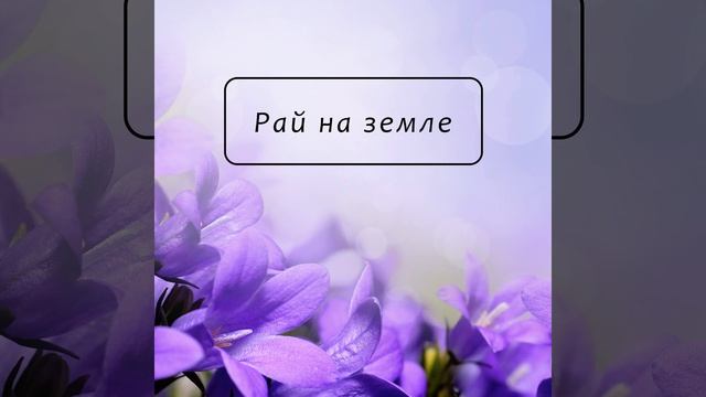 Внутренняя регенерация смотреть онлайн