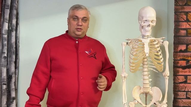 Анатомия смотреть онлайн