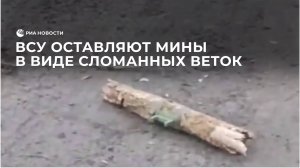 ВСУ оставляют мины в виде сломанных веток