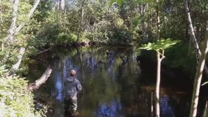 На автодоме на Север часть 3