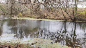 video_2024-10-28_13-04-22