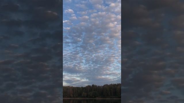 Холодно и красиво на рыбалке. Осень смотреть онлайн