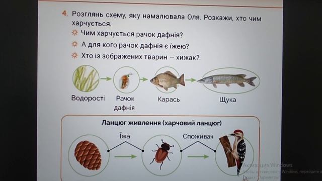31.01.23. МОВ. Які невидимі зв'язки є у природі? Зв'язок іменника з прикметником смотреть онлайн