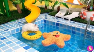 ХОМЯЧКОВЫЙ РЕЛАКС** НЕВОШЕДШИЕ КАДРЫ** МОРЕ СОЛНЦЕ и ХОМЯЧКИ