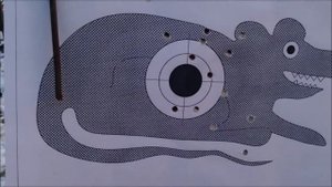 Stoeger X50. Стрельба по крысе!