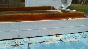 Отводки на запечатанный маточник.