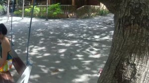 Crystal Beach Resort (2020)