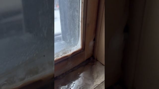 окно в баню