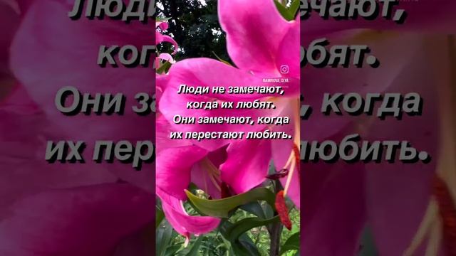 #цитатысосмыслом #цитатыпрожизнь #цитатадня #цитата #мудрыецитаты #цитатыожизни #цитатыолюбви #слов