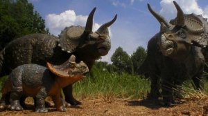 трицератопс