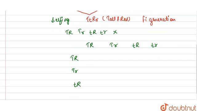 In a plant tallenss is dominant over dwarfness and red flower is dominant over white. смотреть онлайн