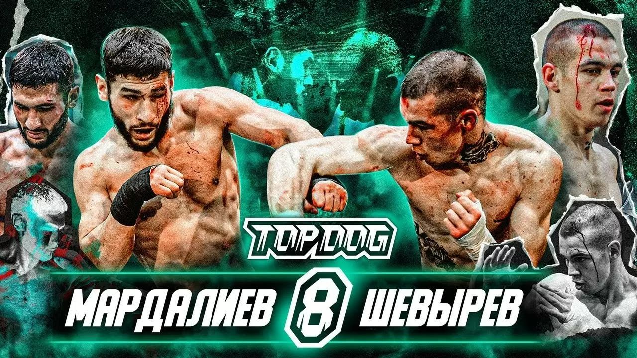Алисафа Мардалиев vs. Валерий Шевырёв | TDFC8