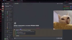 Как БЕСПЛАТНО получить Админку на сервере в SCP:SL | BSH All Admins Туториал LVL-1 Админки