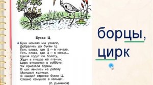 Твердый согласный ц  Буквы Ц,ц