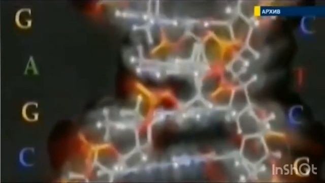 Учёные доказали существование Бога!