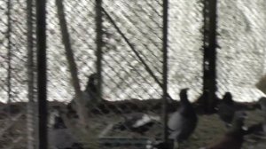 Если вы хотите услышавшая за Рому Донецкого я все у фильме рассказал.