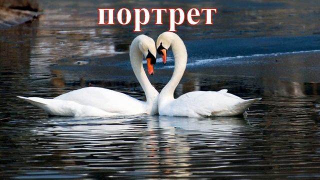Моногамия
