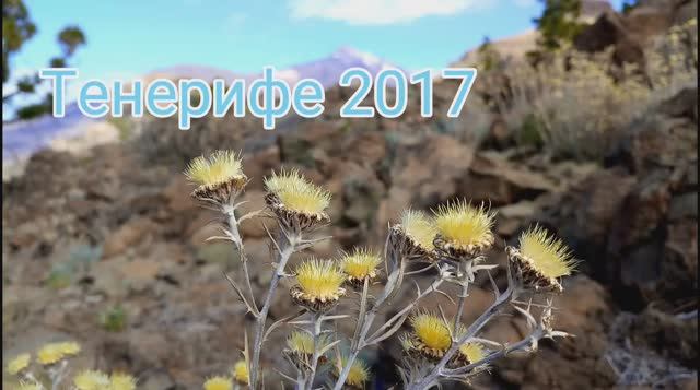 Тенерифе 2017