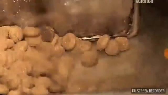 Чем вредны корма для животных?🐇🐈🐩 смотреть онлайн