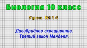 Биология 10 класс (Урок№14 - Дигибридное скрещивание. Третий закон Менделя.)