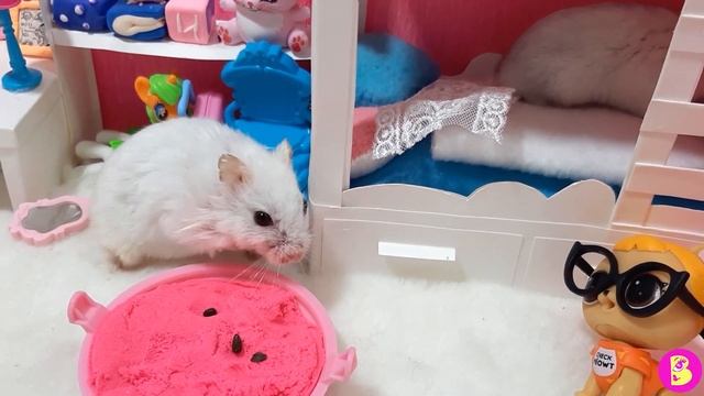 ПИТОМЕЦ ЛОЛ у ХОМЯЧКОВ**РЕАКЦИЯ МАМЫ смотреть онлайн